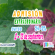 ADMISIONEXTRAORDINweb2sept24 80x80 - Calendarios pruebas septiembre 24